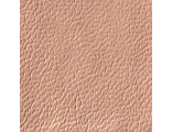 11556957.mpz6uf2l00.156x120.png