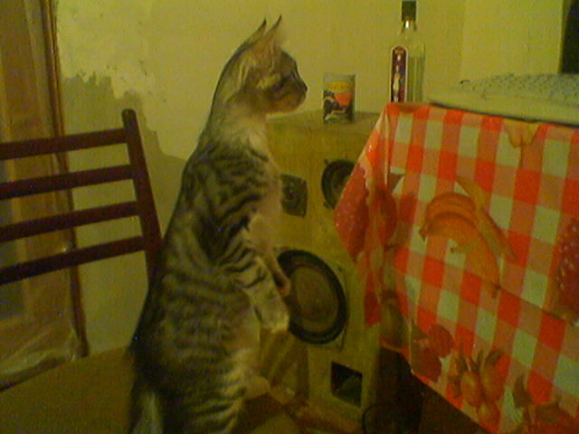 060101_202822.jpg