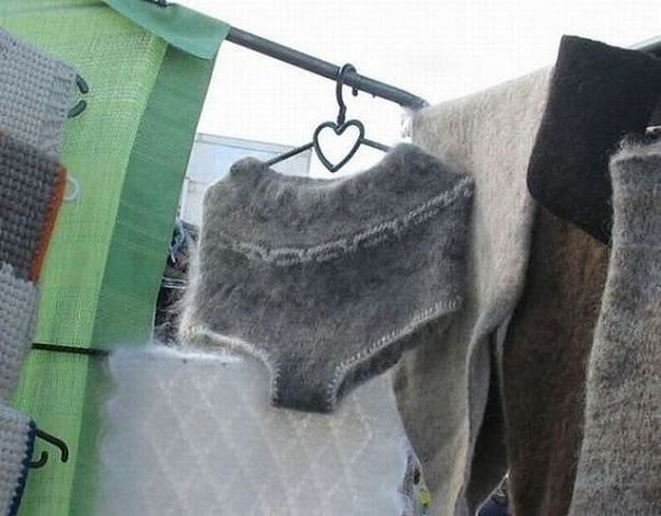 тРУСЫ.jpg