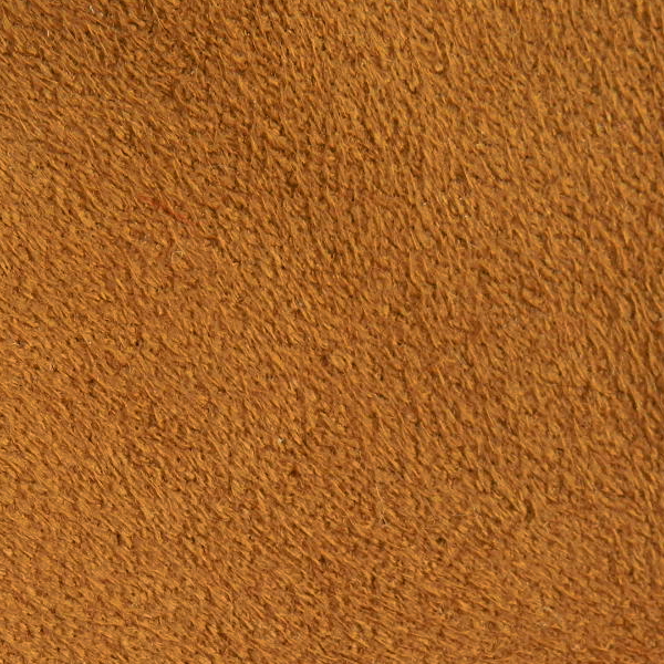 Z01.JPG