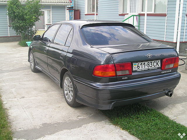 3773327f.jpg