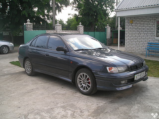 3773342f.jpg