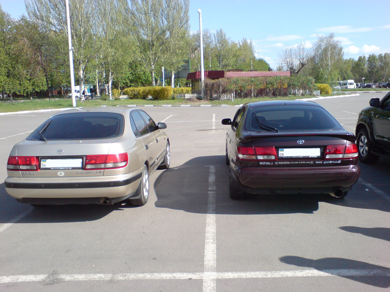 DSC00884.jpg