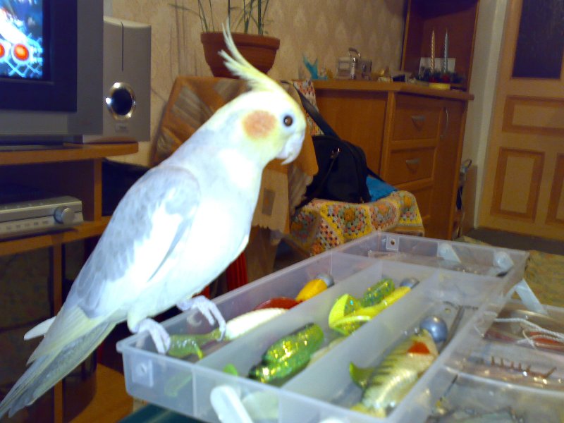 25012008422.jpg