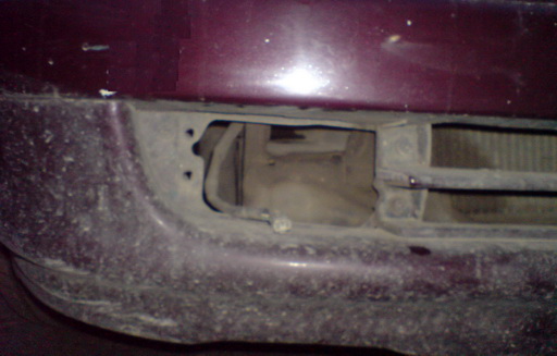 DSC02403.jpg