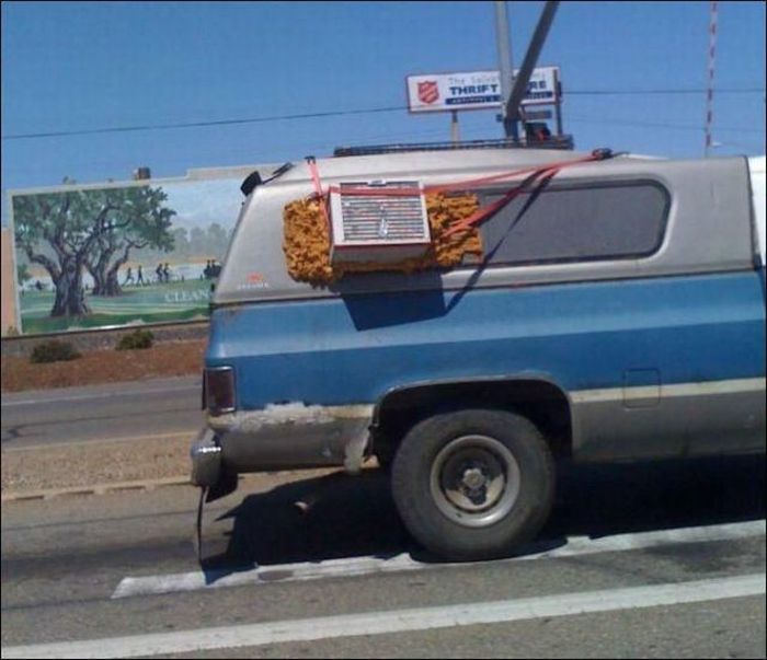 1295481574_funny_cars_33.jpg