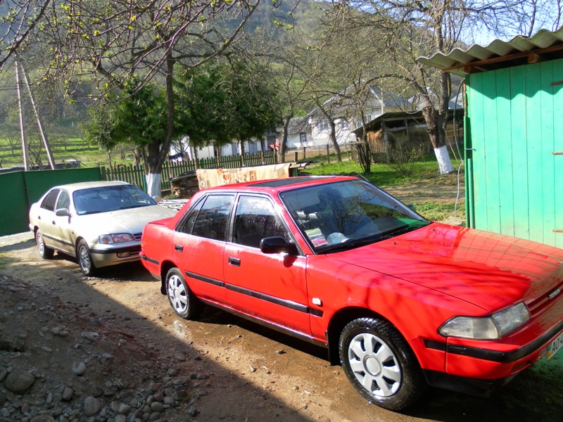 SAM_0247.JPG