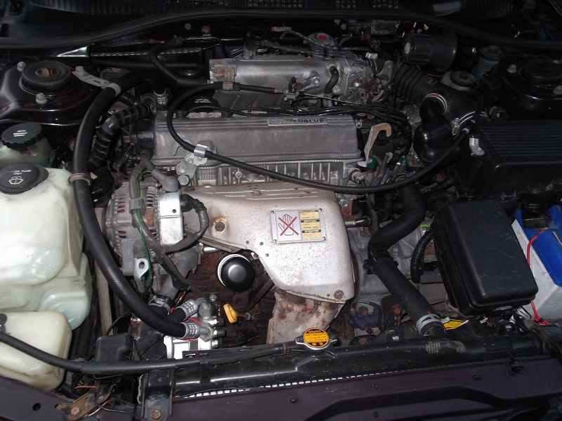 DSCF0144.JPG