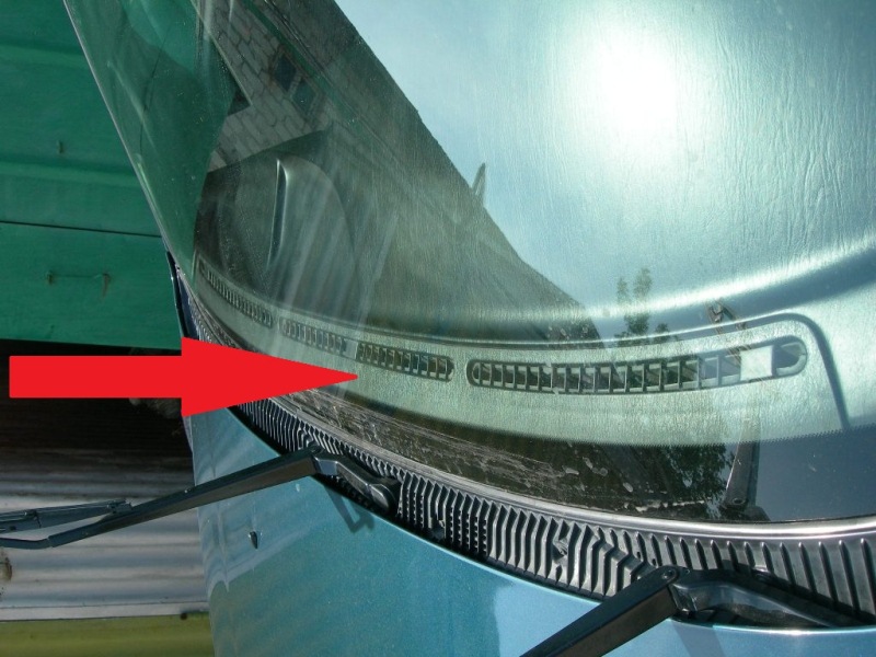 DSCN3565.jpg