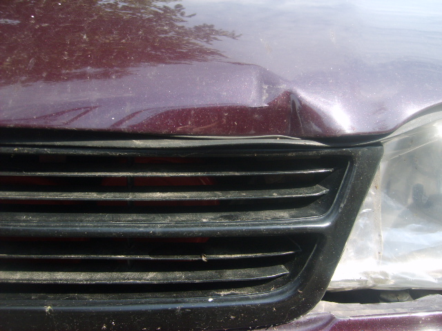S5001363.JPG