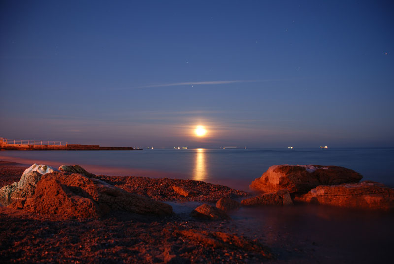 DSC_0699.jpg