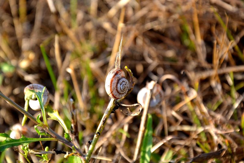 DSC_0312.JPG