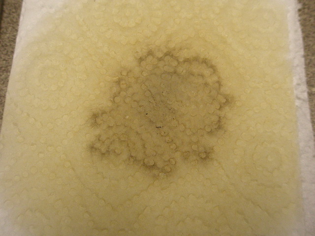 PB220417.JPG