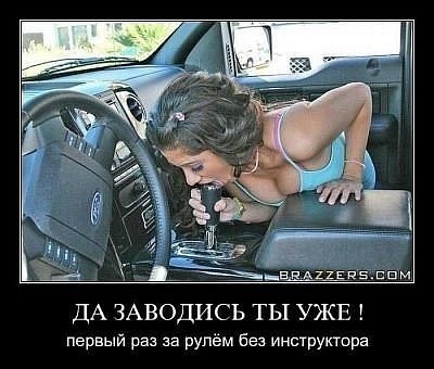 x_e09758ad.jpg